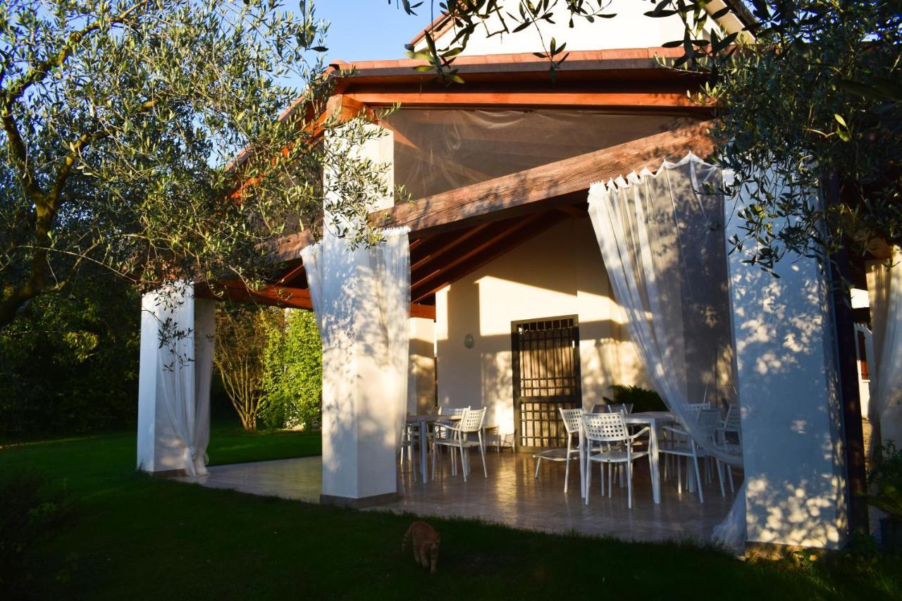 Beehouse - La Casa Delle Api Agriturismo 博尔索-德尔格拉帕 外观 照片