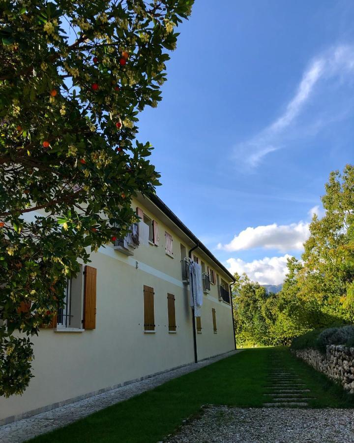 Beehouse - La Casa Delle Api Agriturismo 博尔索-德尔格拉帕 外观 照片